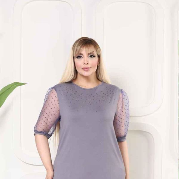 Immagine di CURVY GIRL TOP WTH CHIFFON SLEEVE AND SPARKLE